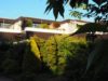 Foto_3234433